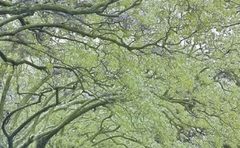 ���L(f��ng)�Є�(d��ng)����Ӌ(j��)��