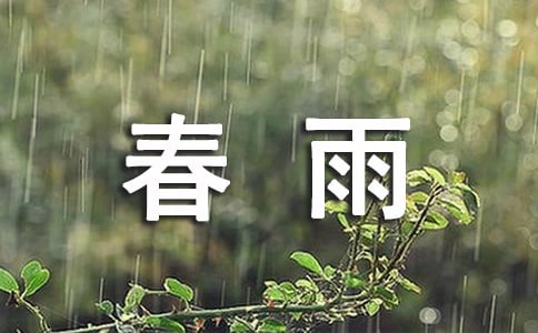 語言活動教案春雨