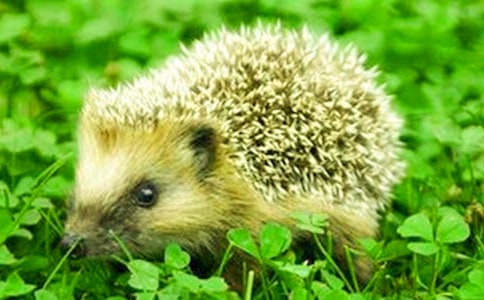 С��⬿������D��Ԓ(��(sh��)��7ƪ)