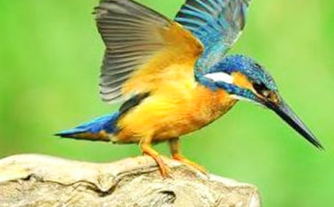 �����B���n�Ľ̌W�OӋ����