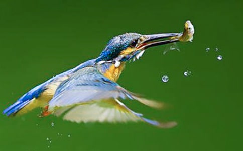 �����B���̌W(xu��)��˼15ƪ