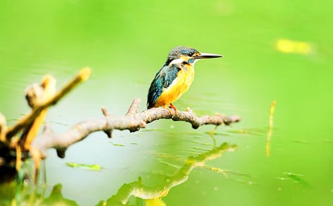 �Z(y��)�����꼉(j��)�����B(ni��o)���f(shu��)�n��