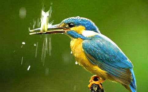 ���B�f�n�壨ͨ��15ƪ��