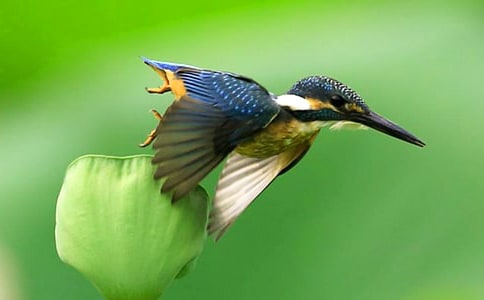 С�W(xu��)���꼉(j��)�Z�ġ����B���f�n��