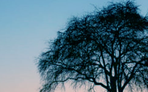 ��һ�ô��(sh��)��ͬ���y(c��)ԇ�}