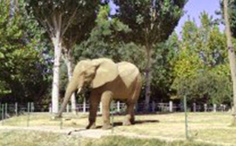 ��������꼉(j��)��(c��)�ƌW(xu��)�̌W(xu��)����Ӌ(j��)������