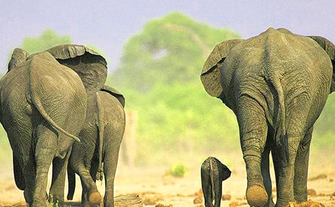 �����x�����������600��3ƪ