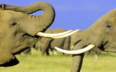 �����x����������300��4ƪ