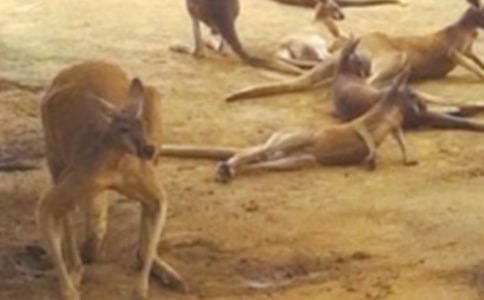 С����v�U(xi��n)ӛ�W(xu��)������