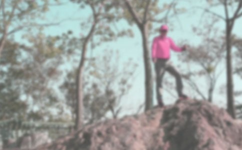 ��ϼ����ӛ���g��ɽ���S,�w����Ȼ�a���g