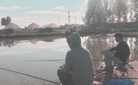 釣魚趣事的散文