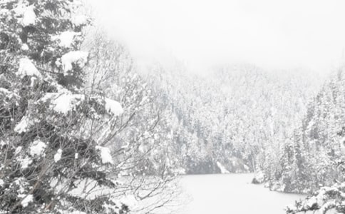 �P�ڶ������vԒ��