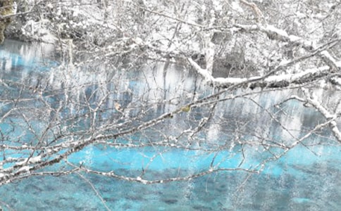 ���������늰�ȫ�V���巶�ģ����x12ƪ��