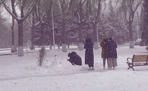 冬日雨晨,我沐浴愛河的散文