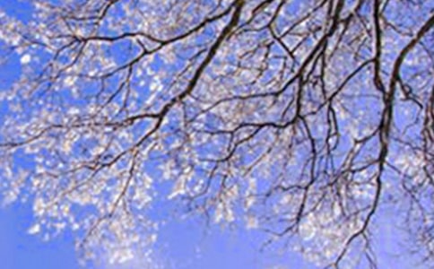 ��(j��)�ϵĶ����n�̰̽�