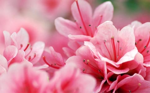 ���x���N���ĔM�˾�