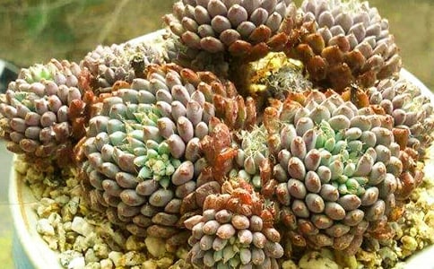 �����^����ӛ������