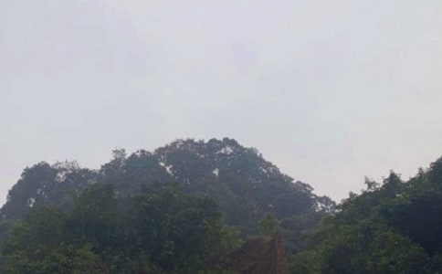 ����üɽ�¸衷�ķ��g���p����(y��u)��6ƪ