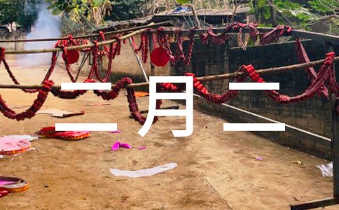 二月二看龍燈小學作文400字