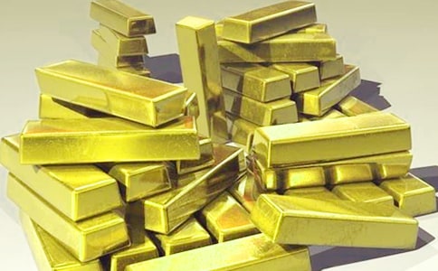 發(fā)財樹觀察日記集合5篇