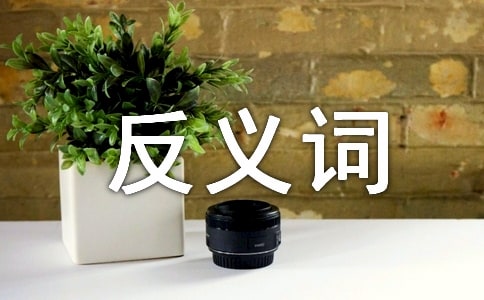 ���\�Ľ��x�~�ͷ��x�~