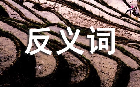 �߰��ķ��x�~��ʲô