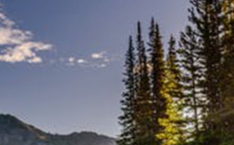 view當(dāng)風(fēng)景講可數(shù)嗎