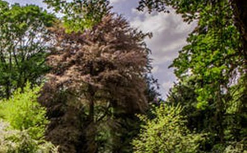 ���^(gu��)֮���Ǹ������L(f��ng)����ɢ��