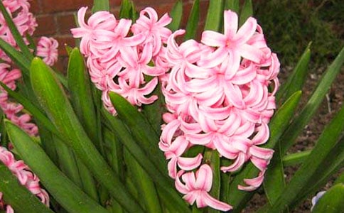 �L(f��ng)�����^����ӛ