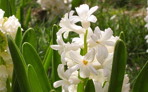 �L(f��ng)�����^����ӛ7ƪ