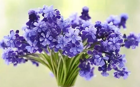 �������L��������800��