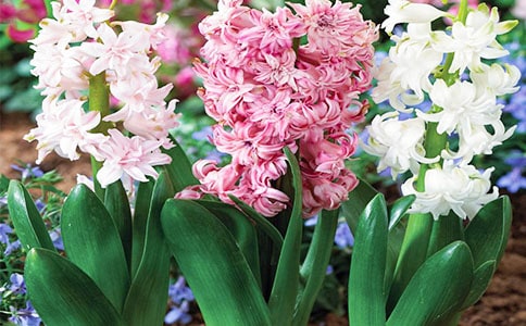 �L(f��ng)�����^����ӛ(7ƪ)