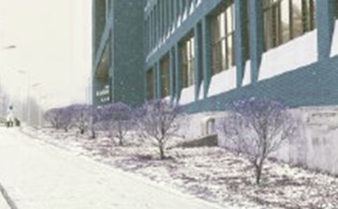 �茑(xi��)�L(f��ng)ѩ���ӵĵ�Ԋ(sh��)��