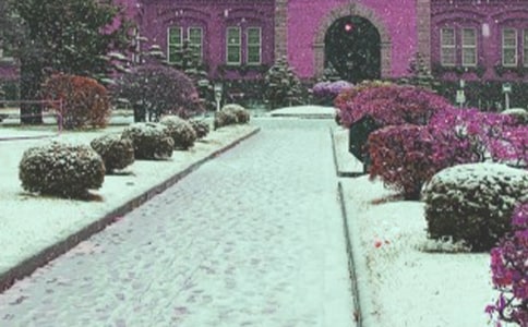 林教頭風(fēng)雪山神廟讀后感范文