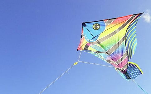 風(fēng)箏上天記初中作文600字