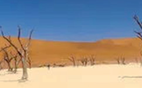 �ɺ��ķ��x�~��ʲô