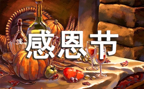 公司感恩節(jié)方案15篇