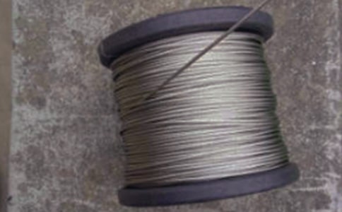 鋼絲男孩六年級(jí)作文