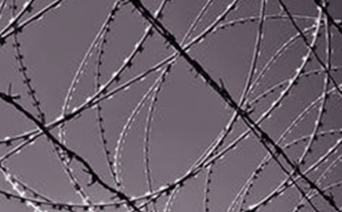 �����A����F��(sh��)��(x��)��(b��o)��4ƪ