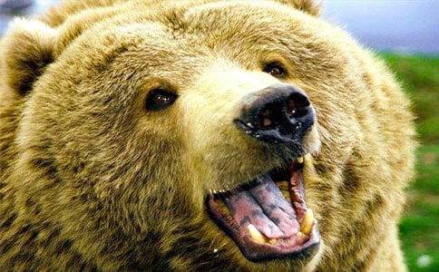 Ԣ�Թ������p:��������