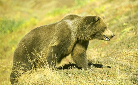 ʧ��Ĺ��ܵ�Ԣ�Թ���