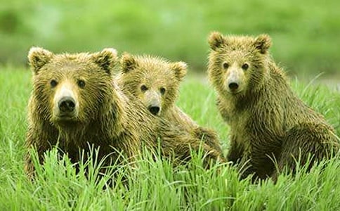 �b���Ĺ���ؐؐͯԒ����