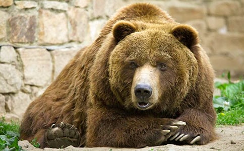 �ʹ������꼉���ķ���