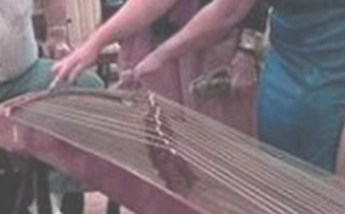 我學(xué)會(huì)了古箏作文