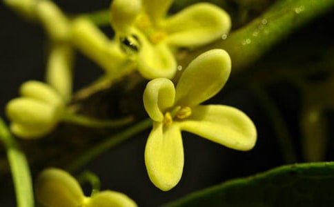 �茑(xi��)�𻨘�(sh��)�ľ���140��