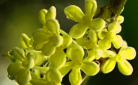 �Lɳ���ą^(q��)�������ƺС�W�W�^(q��)����