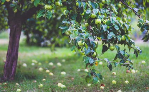 ���@�а���ͬ����ͨ��