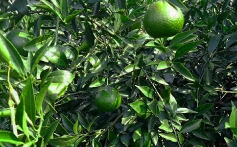 2022���@�а���ͬ����