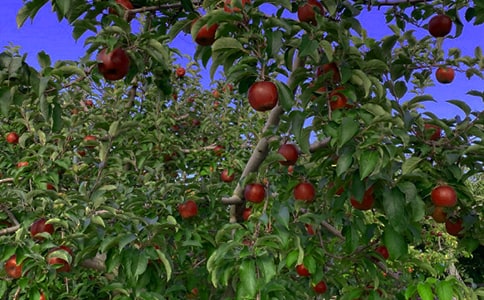 ���@�а���ͬ15ƪ�����]��