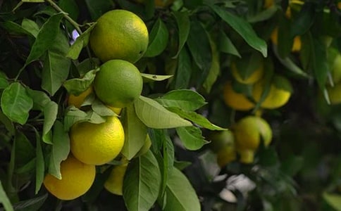 �������@_350��